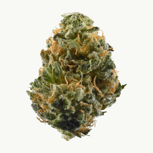 818 Headband Aka Sour OG Feminised Seeds