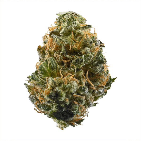 818 Headband Aka Sour OG Feminised Seeds