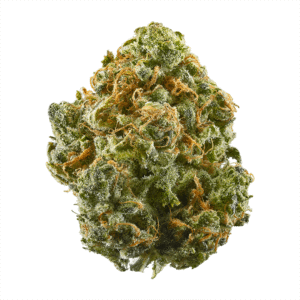 A.B. Parfait Feminised Seeds