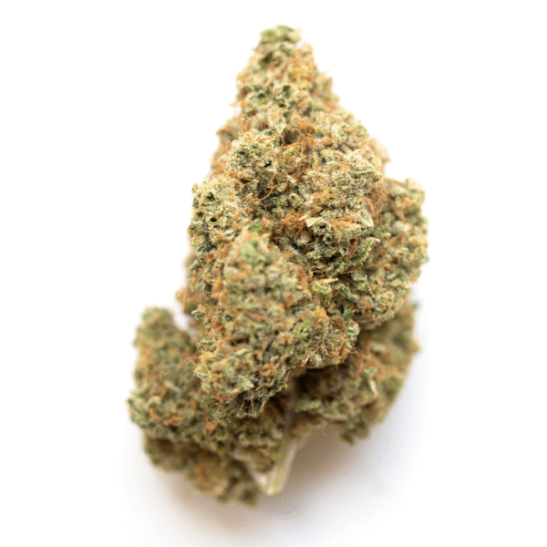 Painkiller XL CBD Feminised Seeds