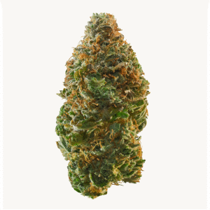 Acid Dough Feminised Seeds