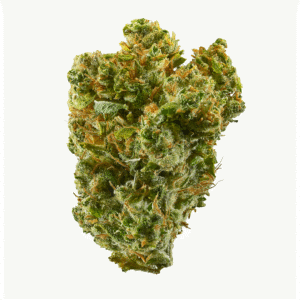 Afgooey Feminised Seeds