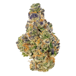 Alien Otto Auto Feminised Seeds