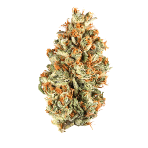 American Pie Auto Feminised Seeds