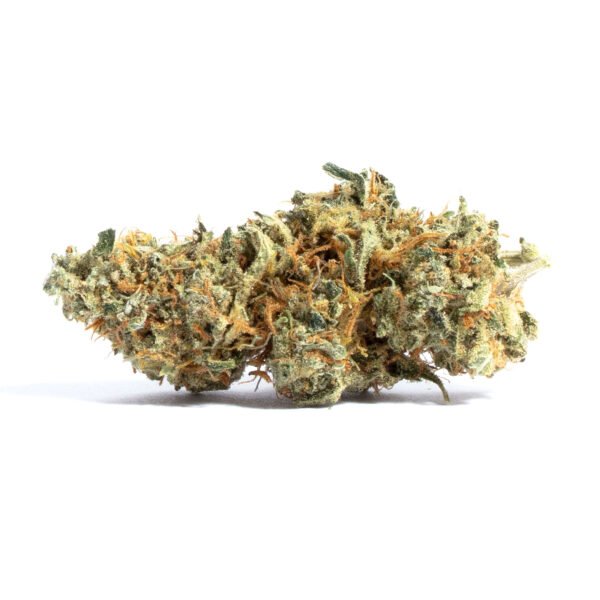 Amnesia Auto Feminised Seeds