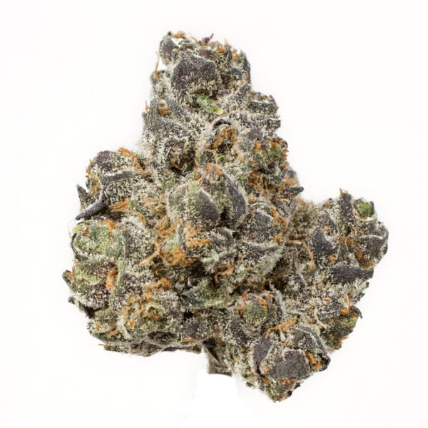 Apple Fritter Auto Feminised Seeds