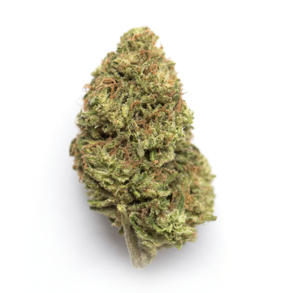 Apple Crumble Feminised Seeds