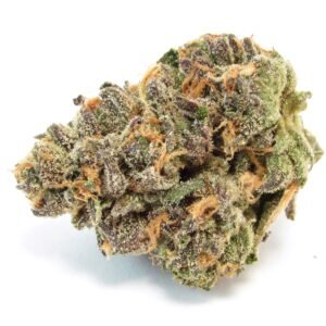 Zoap x Baja Blast Feminised Seeds