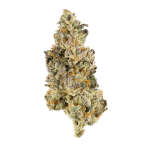 Alaskan Bananaberry Auto Feminised Seeds