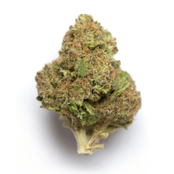 Baja Blast S1 Feminised Seeds