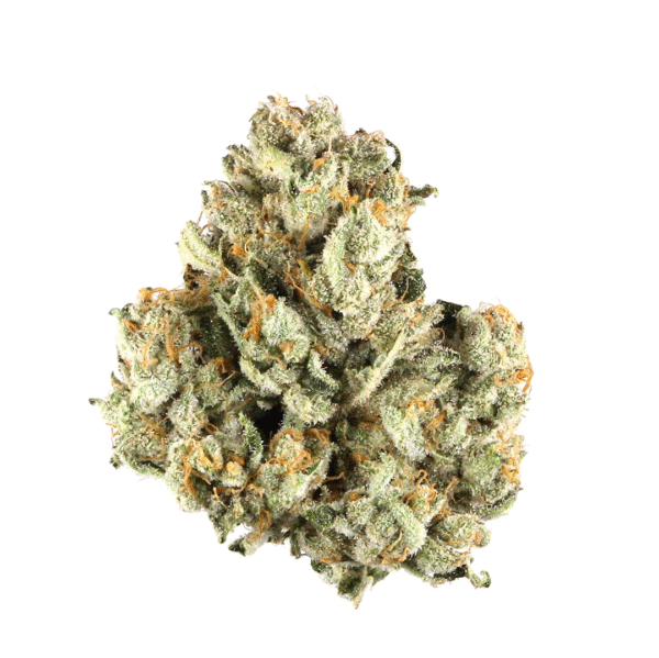 Berry Pie FAST Feminised Seeds