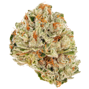 2 B Blunt Feminised Seeds