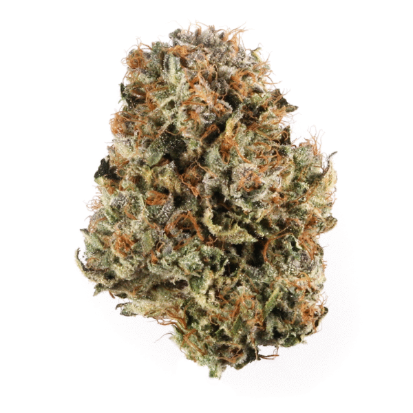 Biodiesel Mass XXL Auto Feminised Seeds