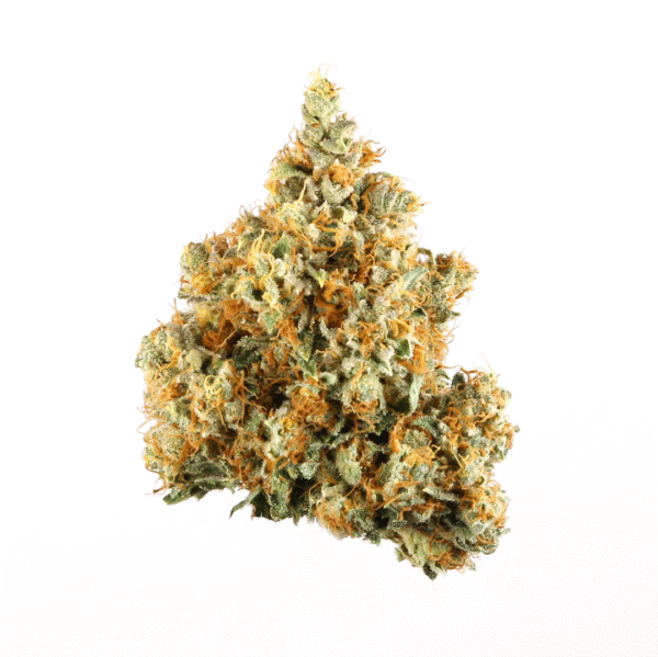 Black Water Feminised Seeds