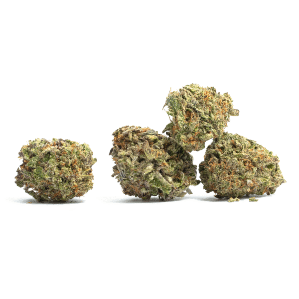 Blackberry Moonrocks Auto Feminized Seeds