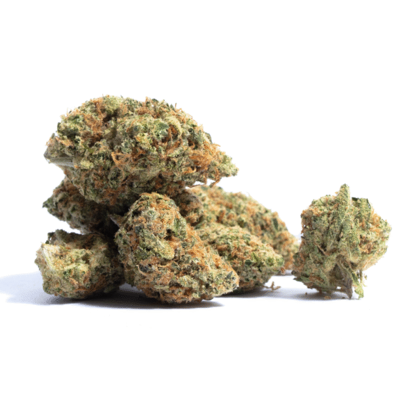 Fastbuds Mixed Pack Auto Feminised Seeds