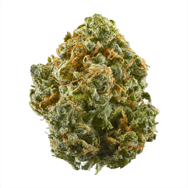 Blue Dream Feminized Seeds