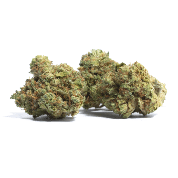 Lung Buster Feminized Seeds
