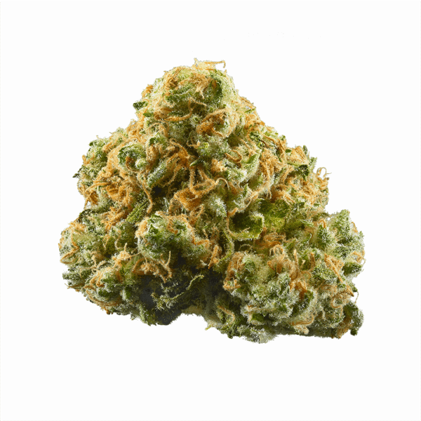 Blue Shark CBD Feminised Seeds