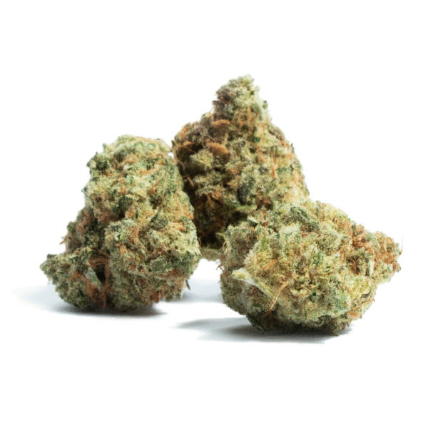 Bruce Banger Fast Feminised Seeds