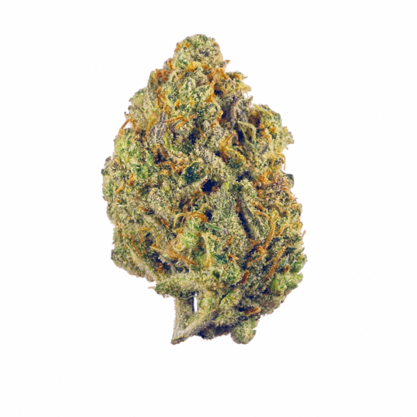 Cherry Lime Reserve Feminised Seeds