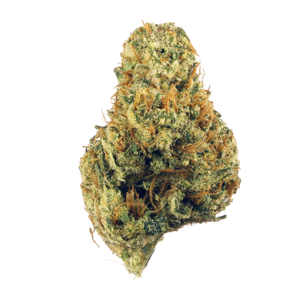 Cherries Jubilee Feminised Seeds (Gold Collection)