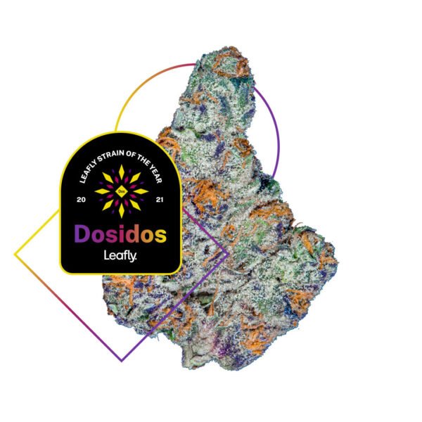 Dos Si Dos Auto Feminised Seeds