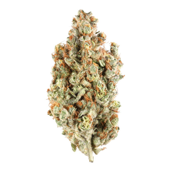 Dream Queen Feminised Seeds