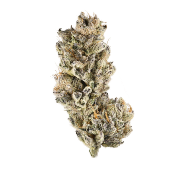 Tahoe Cookies Auto Feminised Seeds