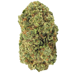 Affie OG Regular Seeds