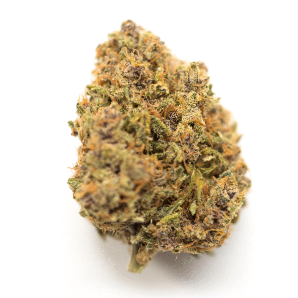 Fog Dog Auto Feminised Seeds