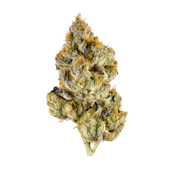 Frosted Guava Auto Feminised Seeds