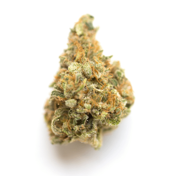 Frosted Raspberries S1 Feminised Seeds
