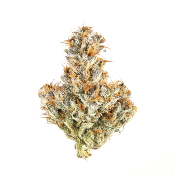 Fro-Yo Auto Feminised Seeds
