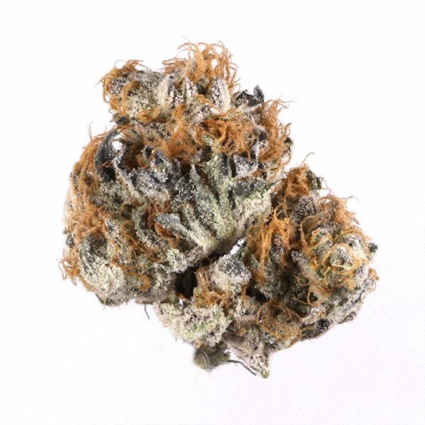 Fruit Tree Feminised Seeds (Gold Collection)