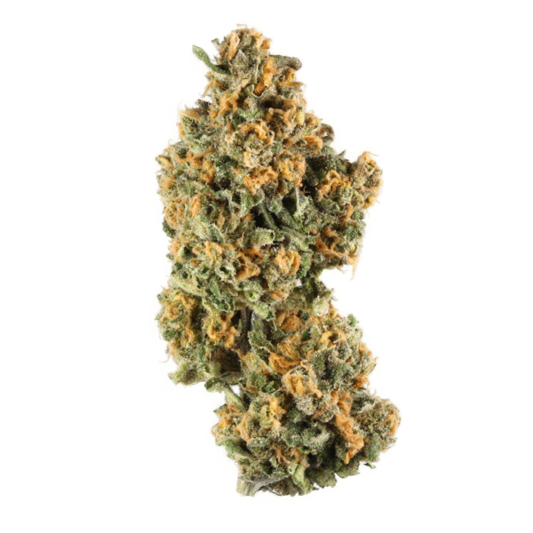 Fruit Cup Feminised Seeds (Gold Collection)