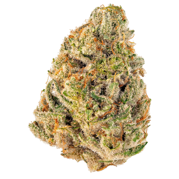 Glu CBD Auto Feminised Seeds