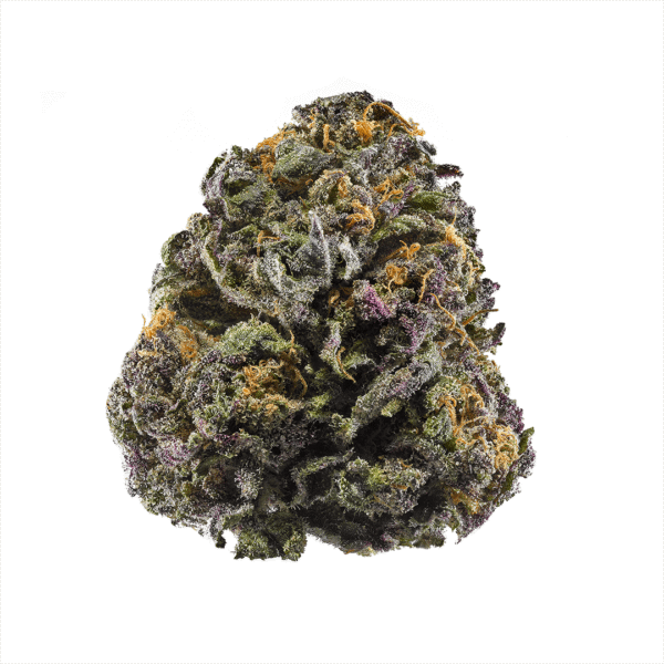 Grand Daddy Purple Feminised Seeds