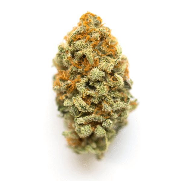 CBD 1:1  Auto Feminised Seeds (formerly Crack CBD Auto)