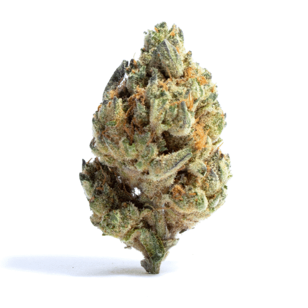 Genius Juice Feminized Seeds