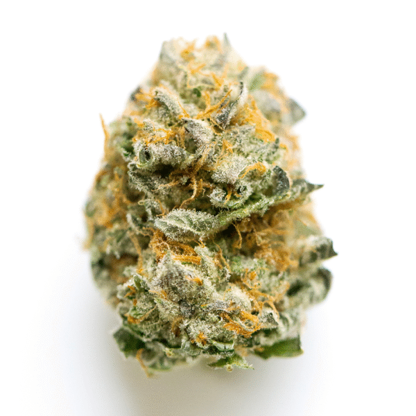 Black Kush Feminised Seeds