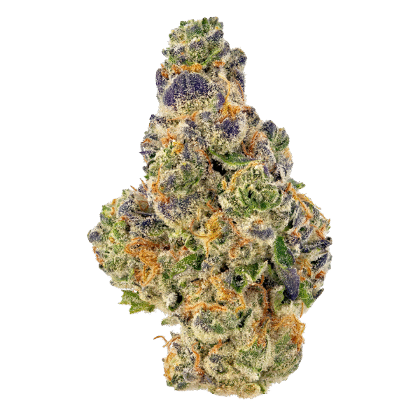 Baller's Game Feminised Seeds