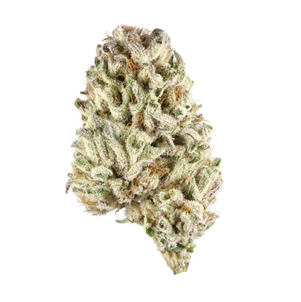 Kush CBD Feminised Seeds