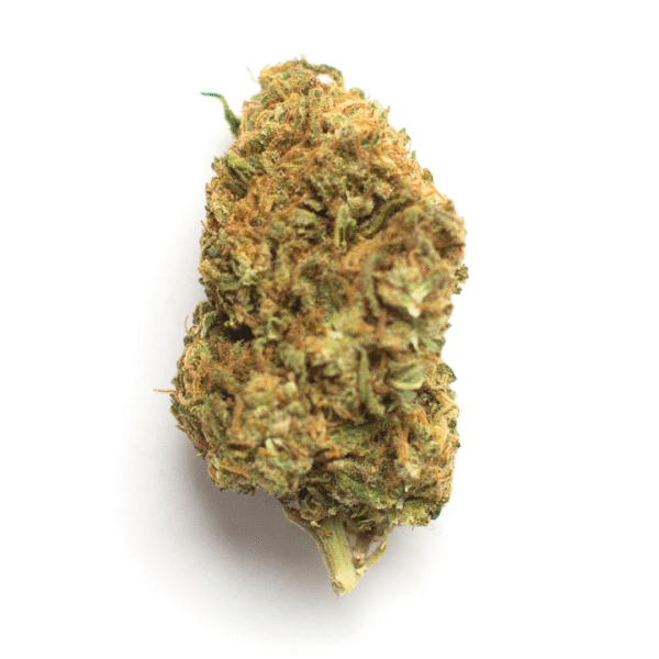 Lemon Potion CBD Auto Feminised Seeds