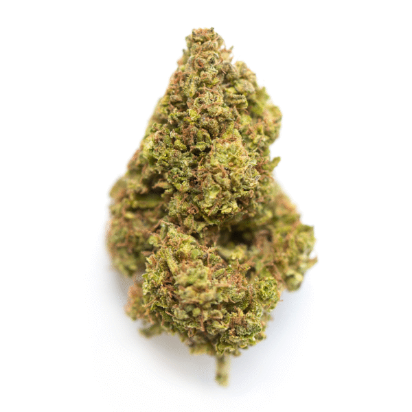 OG CBD Feminised Seeds