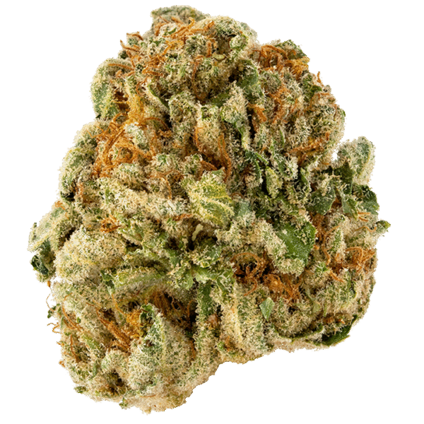 CBD #1 Feminised Seeds