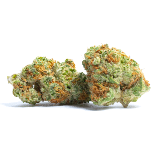 C.T.S. aka Chocolate Truffle Shuffle Regular Seeds