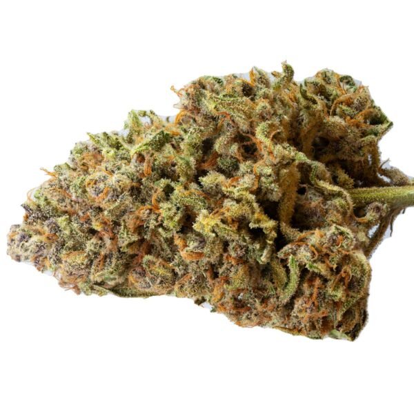 Papaya Zoap Auto Feminised Seeds