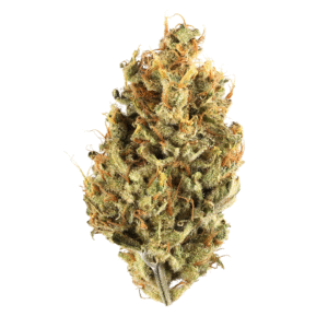 3Peat Feminised Seeds