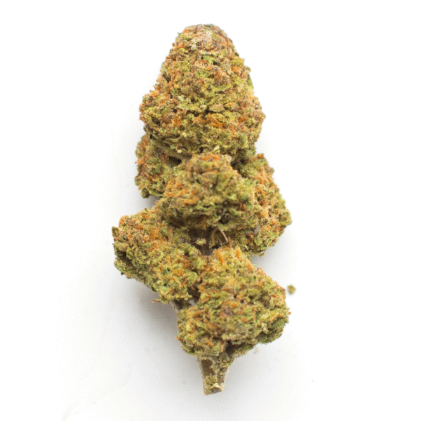 Girl Scout Cookies Auto Feminised Seeds